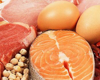 减肥的蛋白质饮食